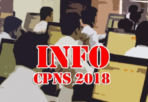 Hasil Tes CPNS di Seluma Hanya 78 Peserta yang Lulus
