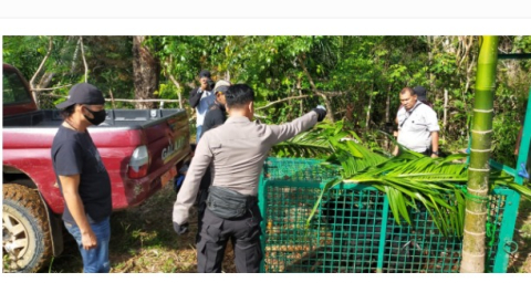 Petugas Bersama BKSDA Cek Perangkap