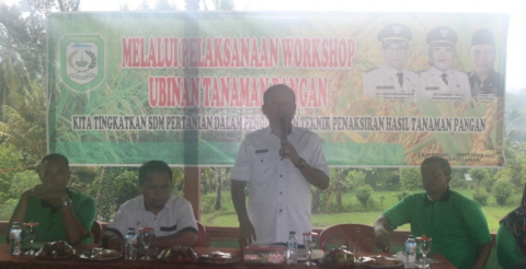 Kabid Program dan SDM Pertanian Swifanedi Yusda S.Hut saat menjelaskan metode Ubinan tanaman pangan