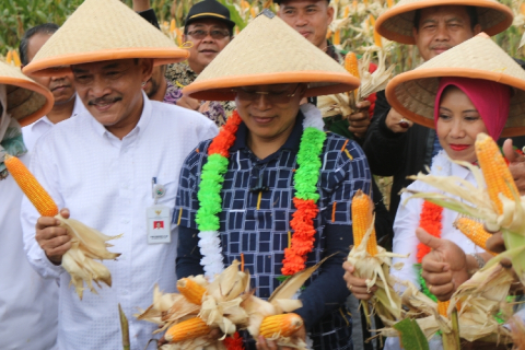 Bengkulu Selatan