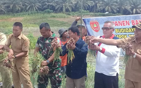 TNI