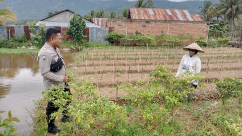 Bhabinkamtibmas Polsek Lebong Selatan Ajak Masyarakat Manfaatkan Lahan dan Pekarangan