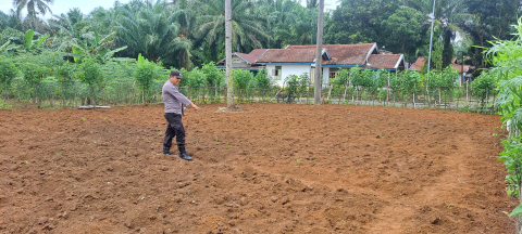 Polsek Talo Dukung Ketahanan Pangan Nasional Lewat Pemantauan Lahan Pertanian