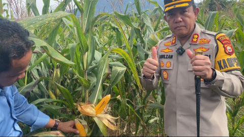 Penanaman Jagung Polres Lebong dan Polsek Jajaran Dukung Program Ketahanan Pangan
