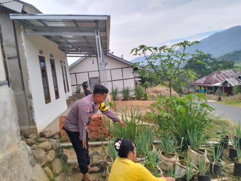 Sambang Ketahanan Pangan, Bhabinkamtibmas Monitoring Tanaman Pangan di Desa Karang Dapo AtasSambang Ketahanan Pangan, Bhabinkamtibmas Monitoring Tanaman Pangan di Desa Karang Dapo Atas