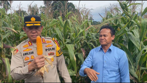 Dalam Mendukung Program Asta Cita Ketahanan Pangan Polres Lebong Dan Polsek Jajaran Melaksanakan Penanaman Jagung