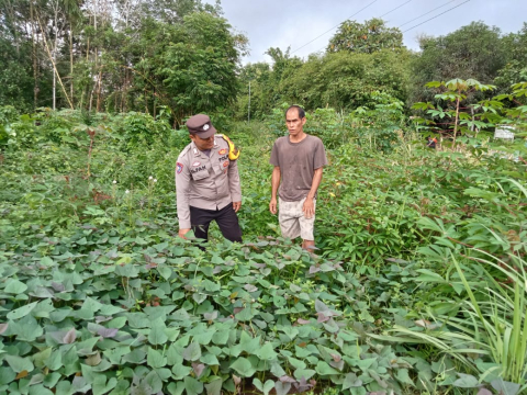 Bhabinkamtibmas Sukaraja Ajak Warga Manfaatkan Pekarangan untuk Ketahanan Pangan