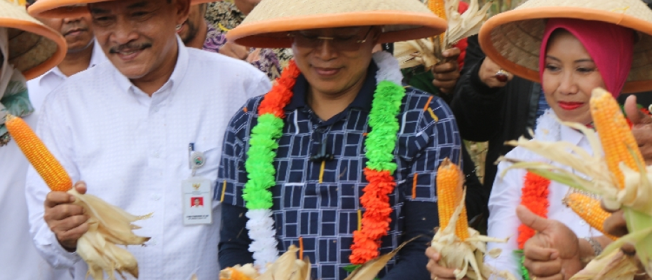 Bengkulu Selatan
