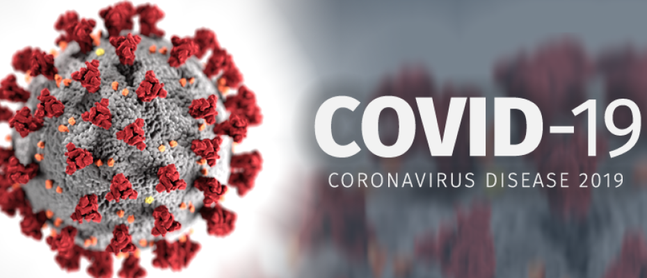 Virus Covid- 19