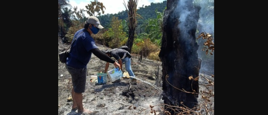 Petugas Bantu Padamkan Kebakaran Lahan