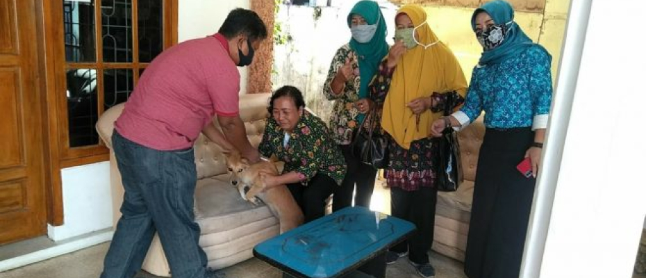 Dinas Pangan dan Pertanian