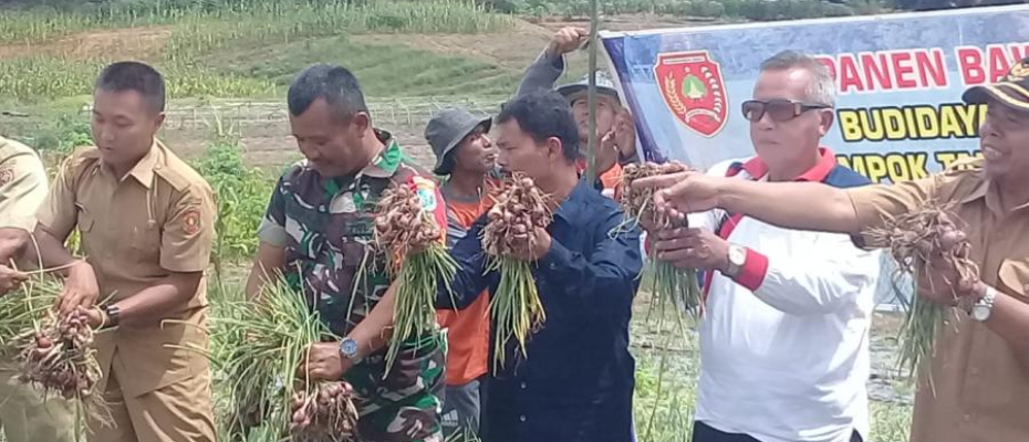 TNI