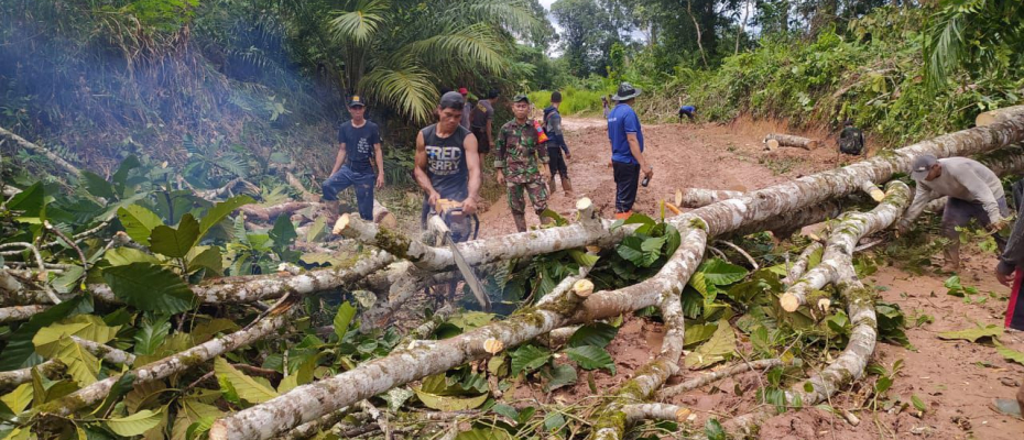TNI