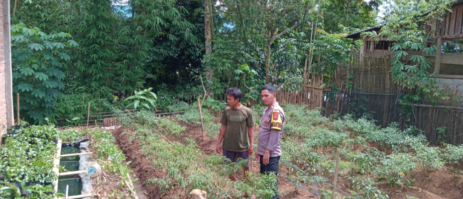 Dukung Ketahanan Pangan, Bhabinkamtibmas Polsek Lebong Utara Monitoring Pemanfaatan Lahan