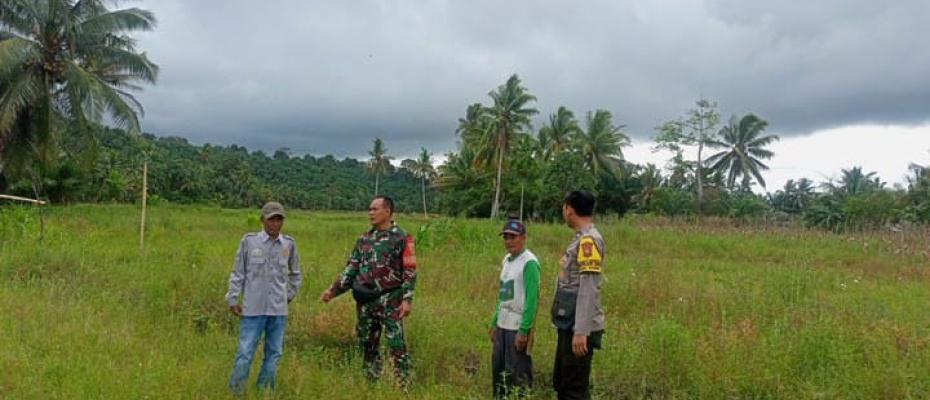 Bhabinkamtibmas Polsek Seginim Pantau Kebun Jagung dalam Program Ketahanan Pangan
