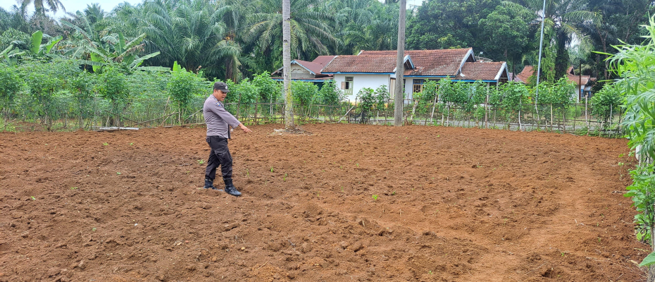 Polsek Talo Dukung Ketahanan Pangan Nasional Lewat Pemantauan Lahan Pertanian