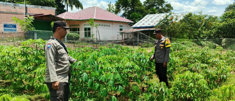 Polsek Taba Penanjung Monitoring Lahan Ketahanan Pangan