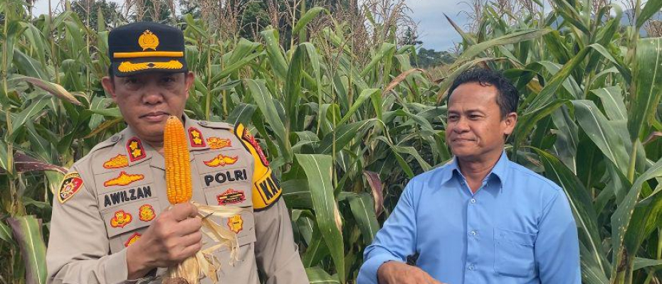 Dalam Mendukung Program Asta Cita Ketahanan Pangan Polres Lebong Dan Polsek Jajaran Melaksanakan Penanaman Jagung