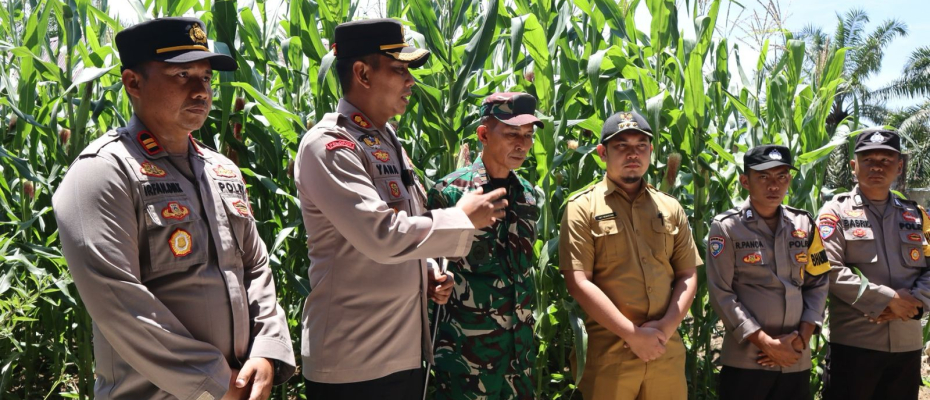 Polres Mukomuko Tanam Jagung, Dukung Program Ketahanan Pangan Presiden Prabowo Subianto