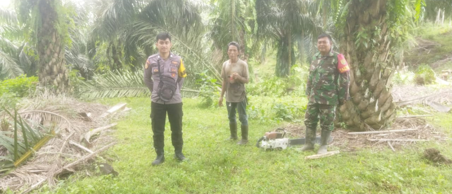 Polres Bengkulu Selatan Dampingi Pemangkasan Pohon di Jalur SUTET untuk Keamanan Listrik 