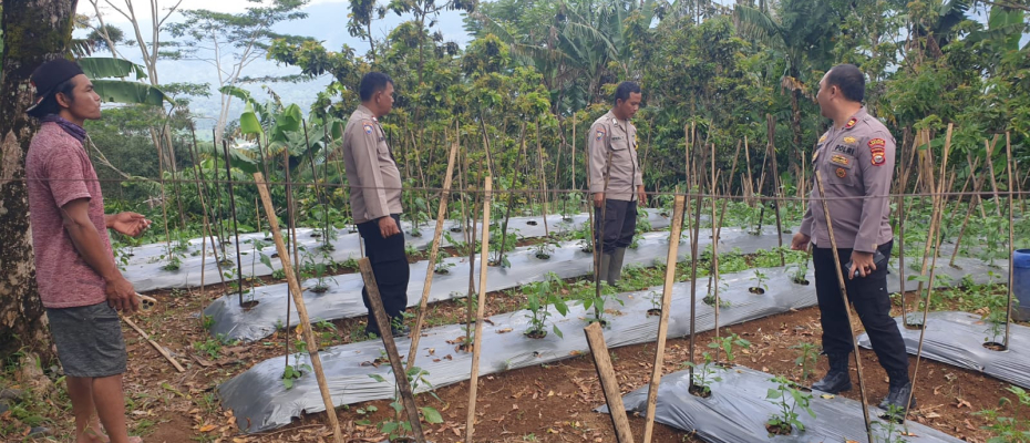 Polsek Lebong Selatan Siapkan Launching Program Pekarangan Pangan Lestari