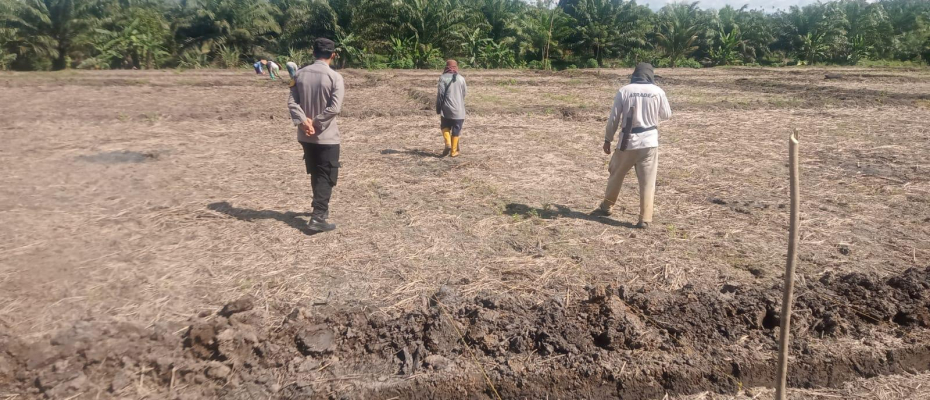 Polsek Sukaraja Dukung Ketahanan Pangan, Pantau Perkembangan Jagung di Desa Riak Siabun