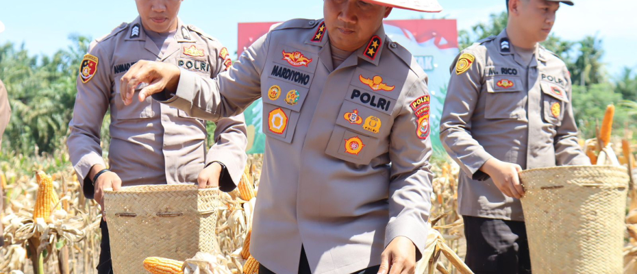 Kapolda Bengkulu Bersama Forkopimda Panen Raya Jagung Kuartal II