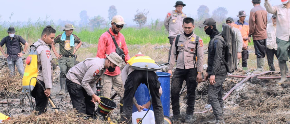 ,